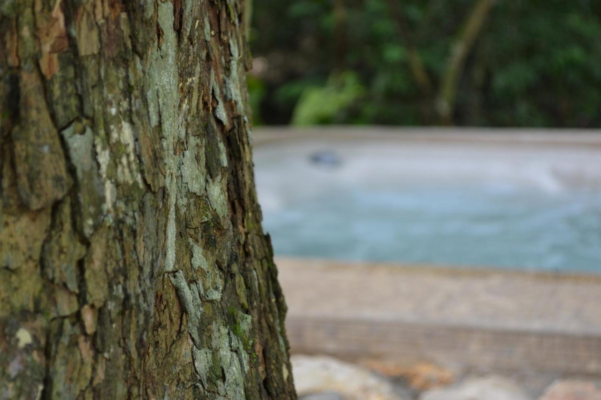 Hotel Jungle Lodge Tikal Ruang foto