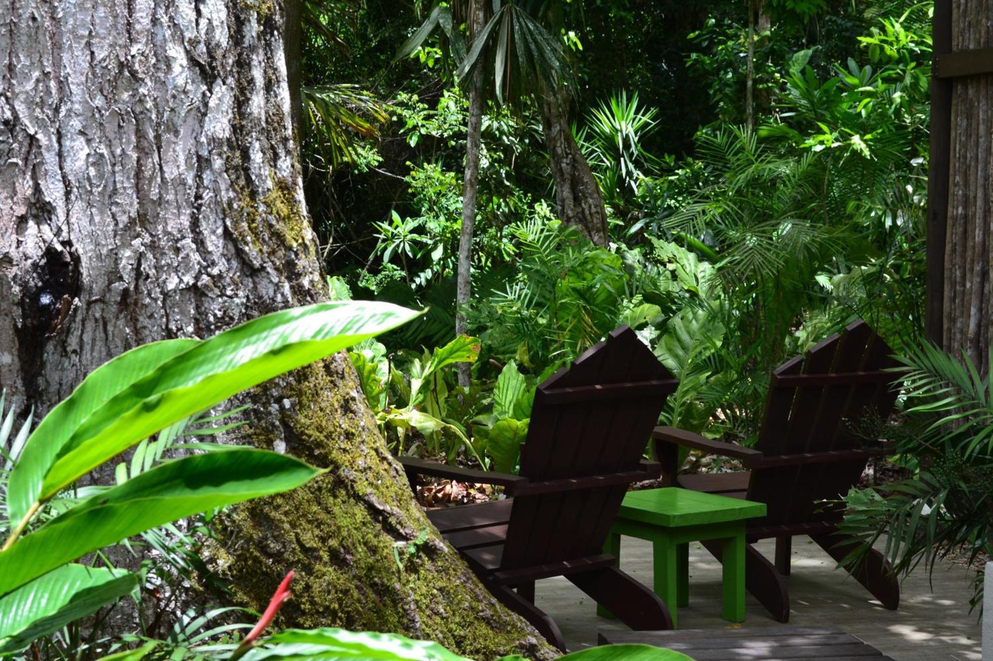 Hotel Jungle Lodge Tikal Ruang foto