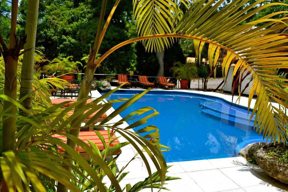 Hotel Jungle Lodge Tikal Bagian luar foto