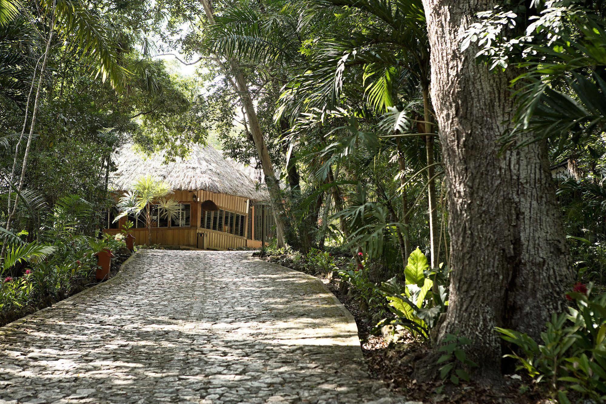 Hotel Jungle Lodge Tikal Bagian luar foto